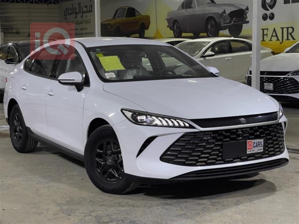 بي واي دي Qin Plus 2025 للبيع في العراق - النجف